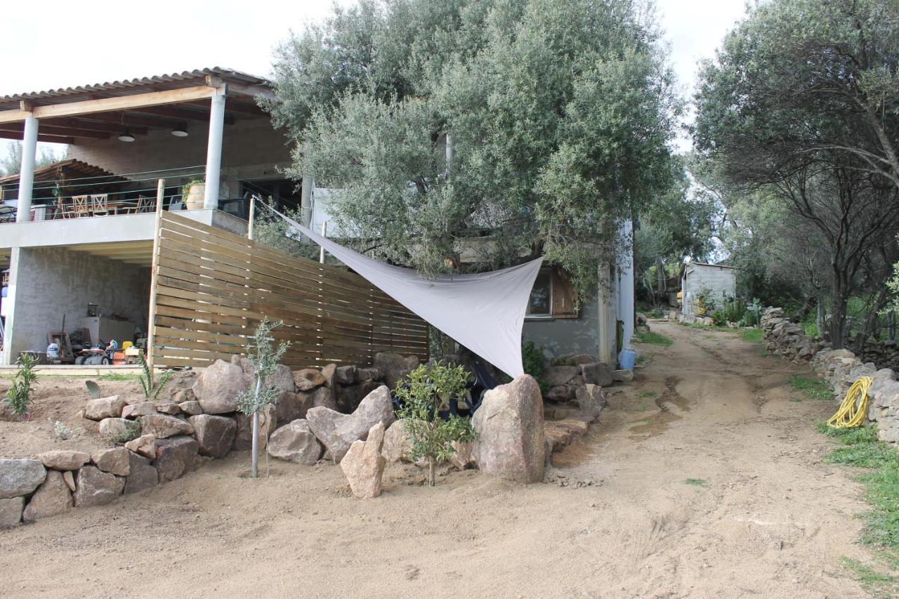 Les Hauts De Frisella Monacia d'Aullena Esterno foto